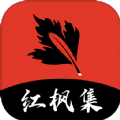 APP应用